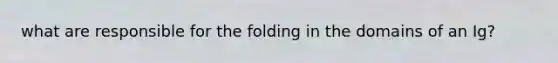 what are responsible for the folding in the domains of an Ig?
