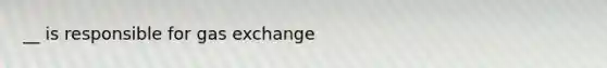 __ is responsible for <a href='https://www.questionai.com/knowledge/kU8LNOksTA-gas-exchange' class='anchor-knowledge'>gas exchange</a>