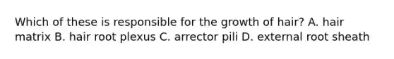 Which of these is responsible for the growth of hair? A. hair matrix B. hair root plexus C. arrector pili D. external root sheath