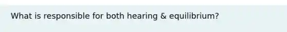 What is responsible for both hearing & equilibrium?