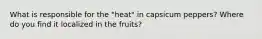 What is responsible for the "heat" in capsicum peppers? Where do you find it localized in the fruits?