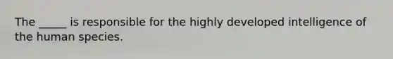 The _____ is responsible for the highly developed intelligence of the human species.