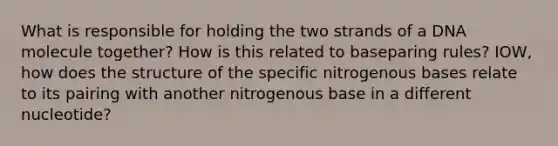 What is responsible for holding the two strands of a DNA molecule together? How is this related to baseparing rules? IOW, how does the structure of the specific nitrogenous bases relate to its pairing with another nitrogenous base in a different nucleotide?