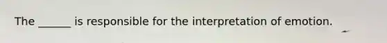 The ______ is responsible for the interpretation of emotion.