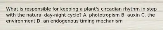 What is responsible for keeping a plant's circadian rhythm in step with the natural day-night cycle? A. phototropism B. auxin C. the environment D. an endogenous timing mechanism