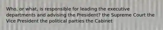 Who, or what, is responsible for leading the executive departments and advising the President? the Supreme Court the Vice President the political parties the Cabinet