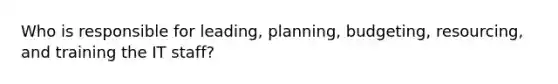 Who is responsible for leading, planning, budgeting, resourcing, and training the IT staff?