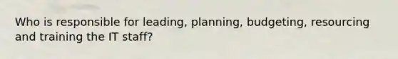 Who is responsible for leading, planning, budgeting, resourcing and training the IT staff?