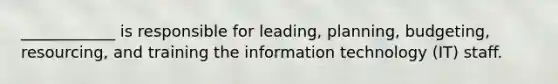 ____________ is responsible for leading, planning, budgeting, resourcing, and training the information technology (IT) staff.