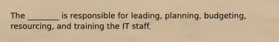 The ________ is responsible for leading, planning, budgeting, resourcing, and training the IT staff.