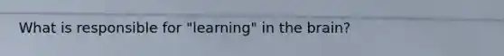 What is responsible for "learning" in the brain?