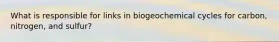 What is responsible for links in biogeochemical cycles for carbon, nitrogen, and sulfur?