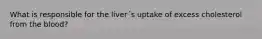 What is responsible for the liver´s uptake of excess cholesterol from the blood?