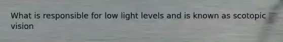 What is responsible for low light levels and is known as scotopic vision