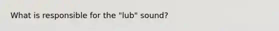 What is responsible for the "lub" sound?