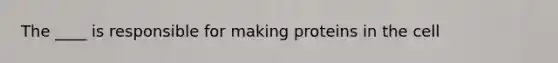 The ____ is responsible for making proteins in the cell