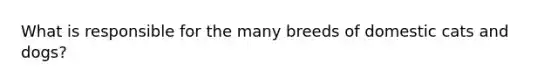 What is responsible for the many breeds of domestic cats and dogs?