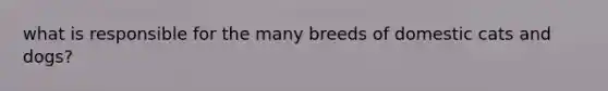 what is responsible for the many breeds of domestic cats and dogs?