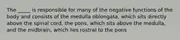 The _____ is responsible for many of the negative functions of the body and consists of the medulla oblongata, which sits directly above the spinal cord, the pons, which sits above the medulla, and the midbrain, which lies rostral to the pons