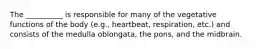 The __________ is responsible for many of the vegetative functions of the body (e.g., heartbeat, respiration, etc.) and consists of the medulla oblongata, the pons, and the midbrain.