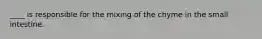 ____ is responsible for the mixing of the chyme in the small intestine.