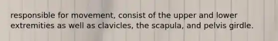 responsible for movement, consist of the upper and lower extremities as well as clavicles, the scapula, and pelvis girdle.