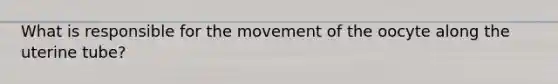 What is responsible for the movement of the oocyte along the uterine tube?