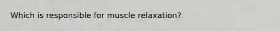 Which is responsible for muscle relaxation?