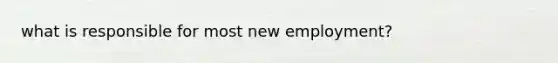 what is responsible for most new employment?