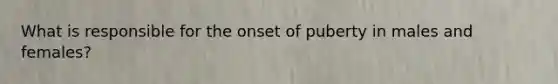 What is responsible for the onset of puberty in males and females?