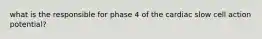 what is the responsible for phase 4 of the cardiac slow cell action potential?