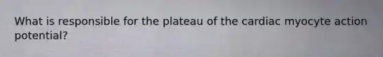 What is responsible for the plateau of the cardiac myocyte action potential?