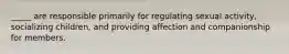 _____ are responsible primarily for regulating sexual activity, socializing children, and providing affection and companionship for members.