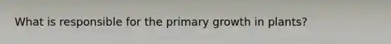 What is responsible for the primary growth in plants?