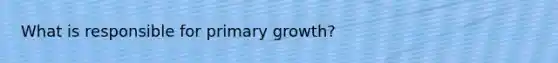 What is responsible for primary growth?