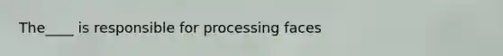 The____ is responsible for processing faces