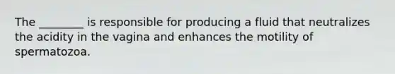 The ________ is responsible for producing a fluid that neutralizes the acidity in the vagina and enhances the motility of spermatozoa.