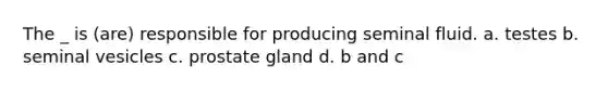 The _ is (are) responsible for producing seminal fluid. a. testes b. seminal vesicles c. prostate gland d. b and c