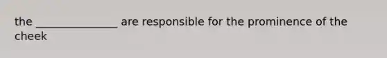 the _______________ are responsible for the prominence of the cheek
