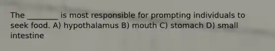 The ________ is most responsible for prompting individuals to seek food. A) hypothalamus B) mouth C) stomach D) small intestine