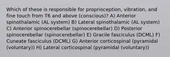 Which of these is responsible for proprioception, vibration, and fine touch from T6 and above (conscious)? A) Anterior spinothalamic (AL system) B) Lateral spinothalamic (AL system) C) Anterior spinocerebellar (spinocerebellar) D) Posterior spinocerebellar (spinocerebellar) E) Gracile fasciculus (DCML) F) Cuneate fasciculus (DCML) G) Anterior corticospinal (pyramidal (voluntary)) H) Lateral corticospinal (pyramidal (voluntary))