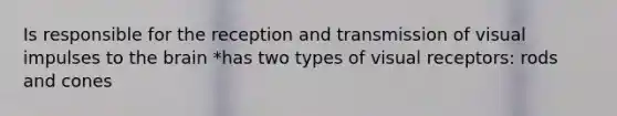 Is responsible for the reception and transmission of visual impulses to the brain *has two types of visual receptors: rods and cones