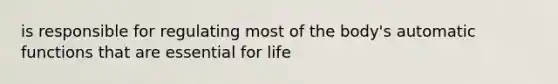 is responsible for regulating most of the body's automatic functions that are essential for life