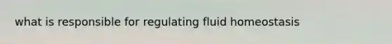 what is responsible for regulating fluid homeostasis