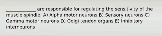 _____________ are responsible for regulating the sensitivity of the muscle spindle. A) Alpha motor neurons B) Sensory neurons C) Gamma motor neurons D) Golgi tendon organs E) Inhibitory interneurons