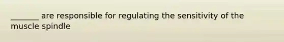 _______ are responsible for regulating the sensitivity of the muscle spindle