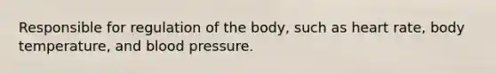 Responsible for regulation of the body, such as heart rate, body temperature, and blood pressure.