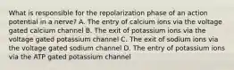 What is responsible for the repolarization phase of an action potential in a nerve? A. The entry of calcium ions via the voltage gated calcium channel B. The exit of potassium ions via the voltage gated potassium channel C. The exit of sodium ions via the voltage gated sodium channel D. The entry of potassium ions via the ATP gated potassium channel