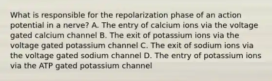 What is responsible for the repolarization phase of an action potential in a nerve? A. The entry of calcium ions via the voltage gated calcium channel B. The exit of potassium ions via the voltage gated potassium channel C. The exit of sodium ions via the voltage gated sodium channel D. The entry of potassium ions via the ATP gated potassium channel