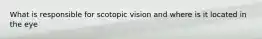 What is responsible for scotopic vision and where is it located in the eye